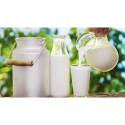 Máy Phân Tích Sữa