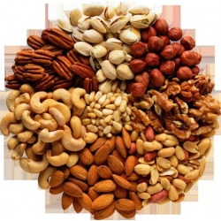 Máy Phân Tích Hạt