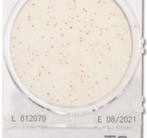 Đĩa CompactDry TC Total Viable Count – Shimadzu
