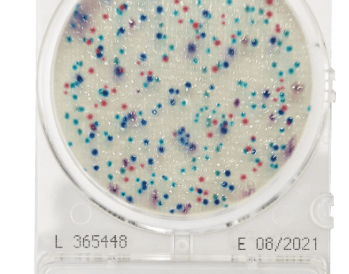 Đĩa CompactDry EC Ecoli Coliform – Shimadzu