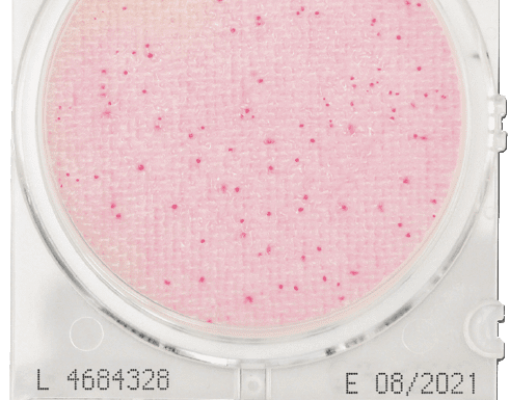 Đĩa CompactDry ETB Enterobacteriaceae – Shimadzu