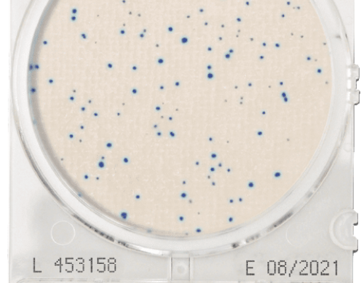 Đĩa CompactDry ETC Enterococcus – Shimadzu