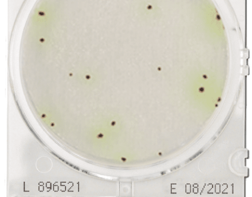 CompactDry PA Pseudomonas Aeruginosa – Shimadzu