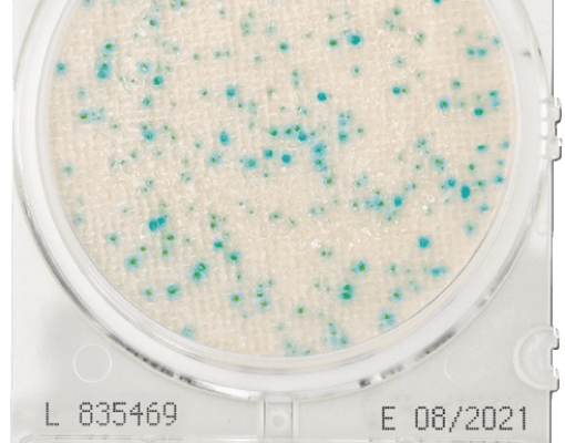 Đĩa CompactDry X-SA Staphylococcus Aureus – Shimadzu