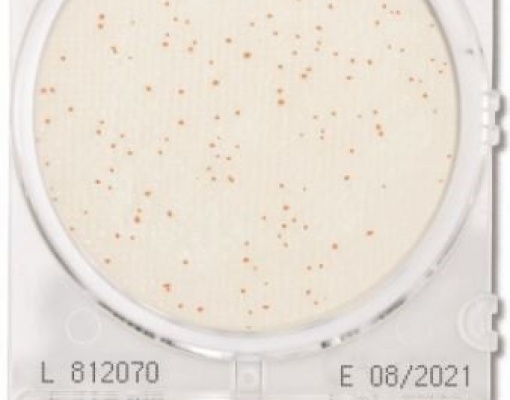 Đĩa CompactDry TC Total Viable Count – Shimadzu